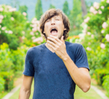 הומוטוקסיקולוגיה - תמונת אווירה